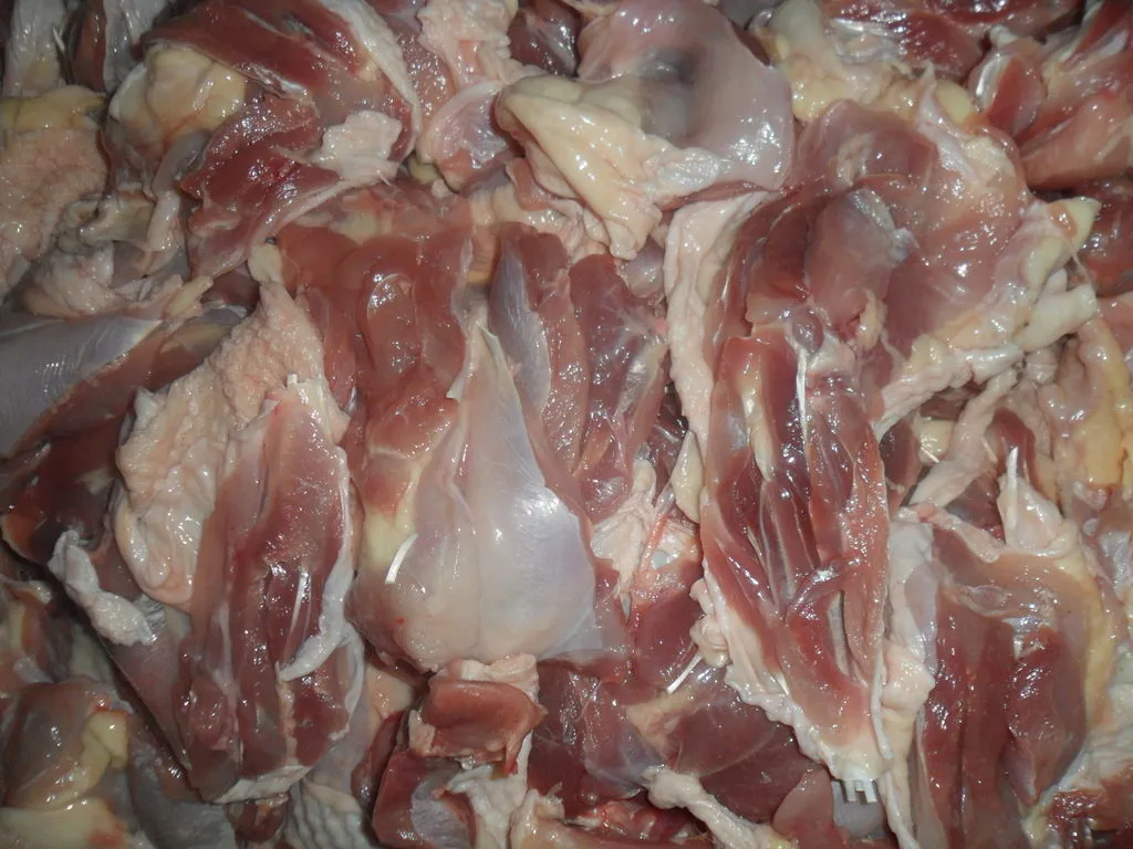 фотография продукта филе бедра курицы несушки без кожи