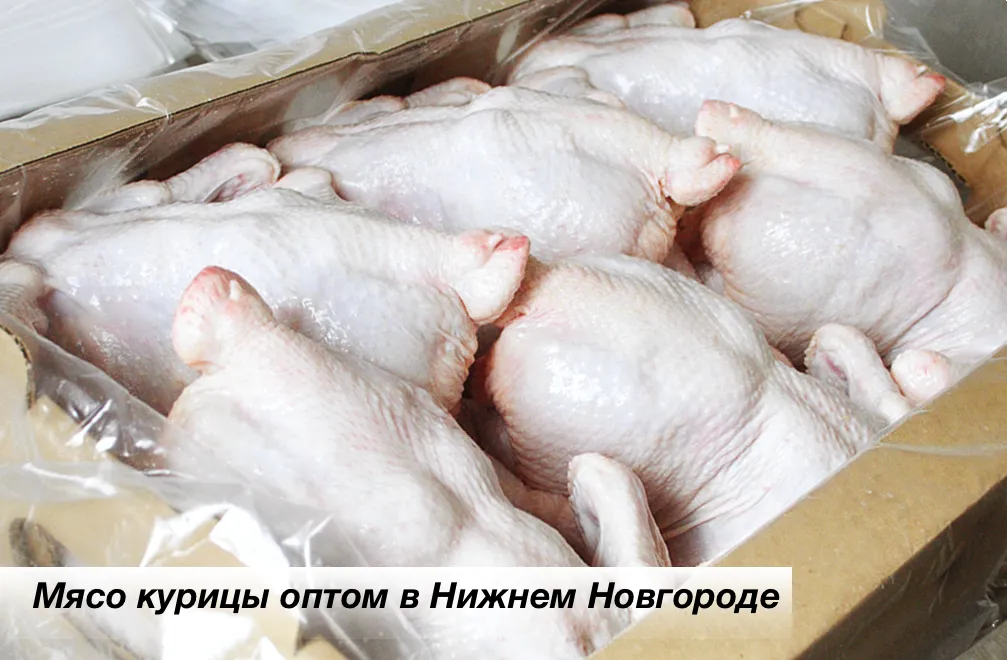 фотография продукта Мясо курицы оптом от производителя в НН