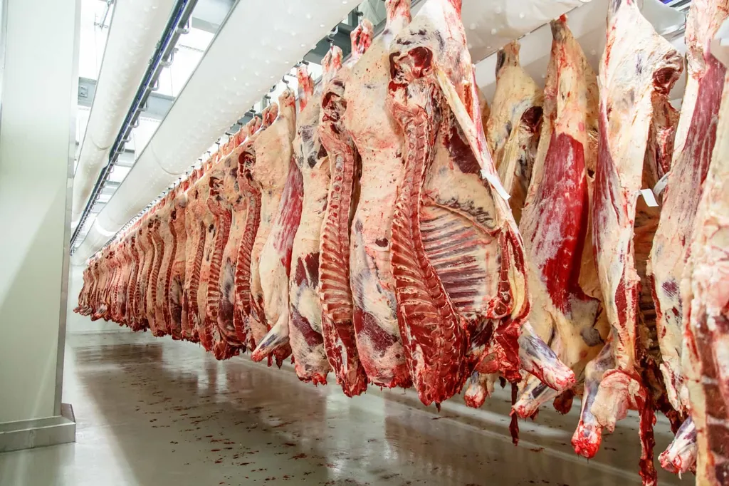 продаем мясо говядины  из РБ в Нижнем Новгороде и Нижегородской области