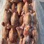 курица несушка в Нижнем Новгороде и Нижегородской области