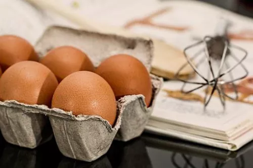 Производство яиц в Нижегородской области сократилось на 8,7%