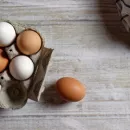 В Нижегородской области продолжает сокращаться производство яиц