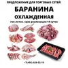 бык б/к охл в анатомии (зерновой откорм) в Москве 33