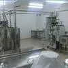 оборудования для производства сыра в Нижнем Новгороде