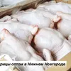мясо курицы оптом от производителя в НН в Нижнем Новгороде
