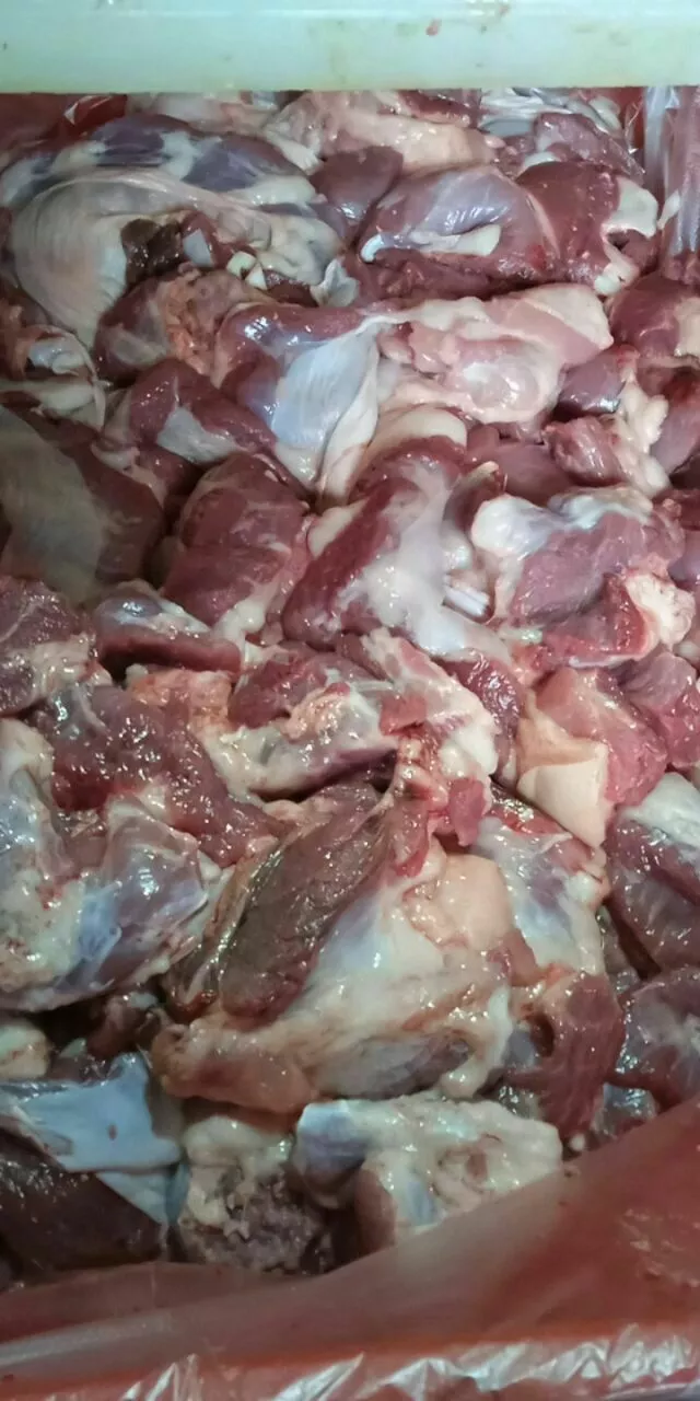 фотография продукта Обрезь мясная свиная жилованная