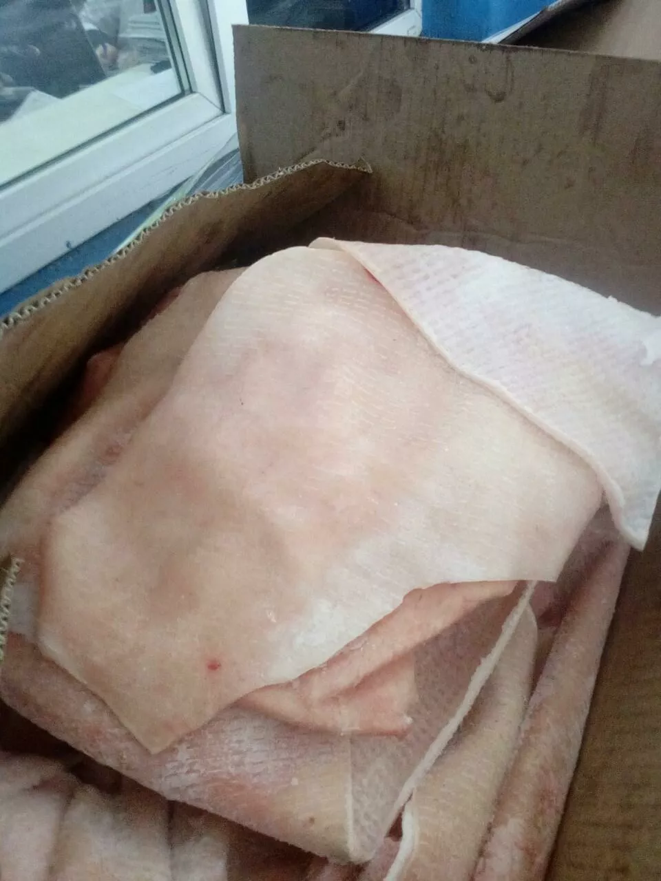 фотография продукта Шкура свиная зам